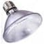 Photo of Light Bulbs
