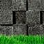 Photo of Green