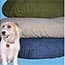 Photo of Pet Beds