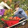 Photo of Gardening