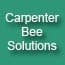 Photo of Carpenter Bee Solutions