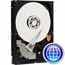 Photo of Hard Drives