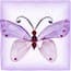 Photo of Swarovski Crystal