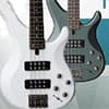 Photo of Bass