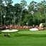 Photo of Masters Package