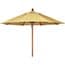 Photo of Umbrellas