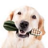 Photo of Dental Care