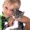 Photo of Flea & Tick Control<br>for Cats