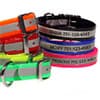 Photo of Collars