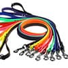 Photo of Leashes