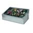 Photo of Cold Frames