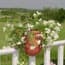 Photo of Deck Planters