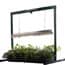 Photo of Indoor Gardening