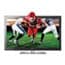 Photo of Flat Panel HDTV