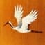 Photo of Asian Cranes Landscapes