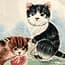 Photo of Kittens & Cute Animals