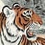 Photo of Chinese Tiger Artwork