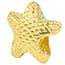 Photo of Gold Charms