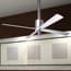 Photo of Fans