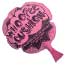 Photo of Novelties