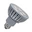 Photo of Light Bulbs