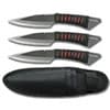 Photo of Throwing Knives
