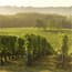 Photo of Bordeaux