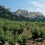 Photo of Rhone