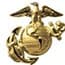 Photo of Marines