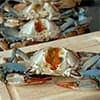 Photo of Crabs for Soup