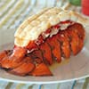Photo of Lobster Tails