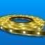 Photo of LED Strips