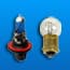 Photo of Miniature