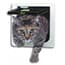 Photo of Just for Cats