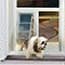 Photo of Manual Doors