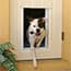 Photo of For 'People' Doors