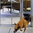 Photo of For Sliding Glass