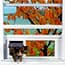 Photo of For Windows