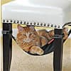 Photo of Pets