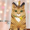 Photo of For Animal Lovers