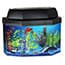 Photo of Fish Aquariums