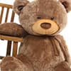 Photo of Classic Teddy Bears