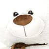 Photo of Furrific Deals