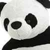 Photo of Panda Bears