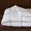Photo of Duvet & Pillow Inserts