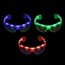 Photo of LED Party