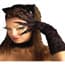 Photo of Costume Accessories