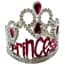 Photo of Princess Party