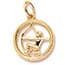 Photo of Zodiac Charms