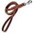 Photo of Dog Leather Leashes